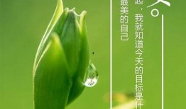 今日吃瓜爆料正能量图片高清,高清美图传递美好瞬间